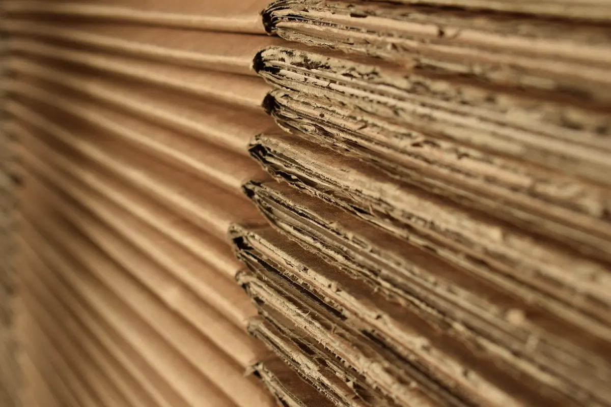 The January Notes Reset: Reviewing and Archiving a Year of Notes